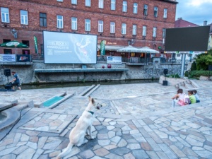 REEL ROCK 12 –  MISKOLC – 10